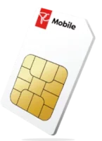 20250124 SIM Card 300 height Poke Yoke - SIM card